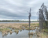 Le lac Niven, comme tous les autres lacs de Yellowknife, retrouvera bientôt son nom traditionnel. Dans une optique de réconciliation, la municipalité a soumis le projet aux leadeurs de la Première Nation des Dénés Yellowknives, qui réattribueront leurs noms d’origine à ces plans d’eau débaptisés par les colonisateurs. &mdash; Thomas Éthier
