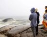 « On estime qu’il ne reste plus que 10 000 à 25 000 baleines bleues dans le monde, alors qu’elles étaient environ 250 000 avant la chasse industrielle. » &mdash; Nicolas Winkler
