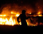 Avec la crise climatique, le nombre et l’intensité des feux de forêt augmentent. Au Canada, 5 millions d’hectare ont déjà depuis le début d’année. — Photo : fabien jones – Unsplash