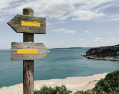 Le Nouveau Parti démocratique fait face à un dilemme : reconstruire et continuer de tirer les libéraux vers la gauche.  — Photo : Jametlene Reskp – Unsplash