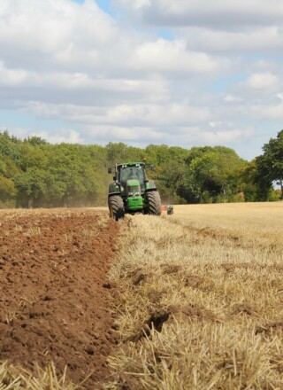 Traditionnellement, les agriculteurs labourent leurs champs. Mais pour faciliter le stockage du carbone dans le sol et lutter contre les changements climatiques, les scientifiques recommandent de travailler la terre le moins possible. — Photo : Richard Bell – Unsplash
