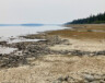 Cette année, la région des lacs du Sud est particulièrement touchée par la sécheresse. Ici, le lac Marsh. — Photo : Gwendoline Le Bomin