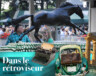 La statue de Secretariat à Belmont Park, où le cheval légendaire a remporté la Triple Couronne en 1973.  — Photo : Jlvsclrk – CCA Share Alike 4.0