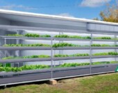 Représentation de l'une de deux unités de culture de plantes, incluant des installations de culture verticale à l'extérieur du Collège.  
