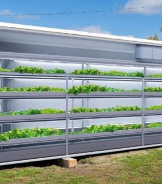 Représentation de l'une de deux unités de culture de plantes, incluant des installations de culture verticale à l'extérieur du Collège.
