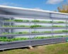 Représentation de l'une de deux unités de culture de plantes, incluant des installations de culture verticale à l'extérieur du Collège.  