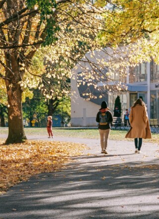 Les nouvelles données de Statistique Canada confirment une tendance déjà observée depuis plusieurs années dans le postsecondaire francophone à l’extérieur du Québec.  — Photo : Zhen Yao – Unsplash