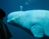   Photo : Insung Yoon – Unsplash