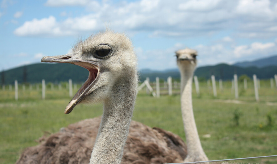   Photo : Elizabeth – Unsplash