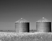 Le budget fédéral était en teintes de gris pour les agriculteurs canadiens. — Crédit photo: Image Pexels Deneen L. Treble.