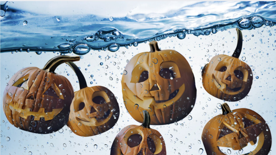 Photo : Montage les As de l’Info  