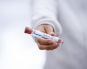   Image : Fernando Zhiminaicela – Pixabay