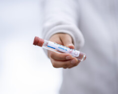   Image : Fernando Zhiminaicela – Pixabay