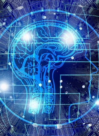 Les intervenants universitaires reconnaissent que l’émergence de l’IA générative incite les acteurs du milieu universitaire à réévaluer l’enseignement et l’évaluation.  &mdash; Photo : geralt – Pixabay