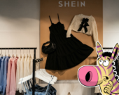   Photo : Photomontage Arnaud Finistre, AFP / Les As de l’info