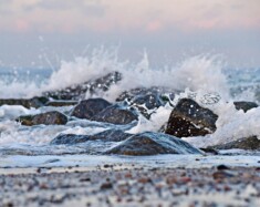   Photo : A. Fre – Pixabay