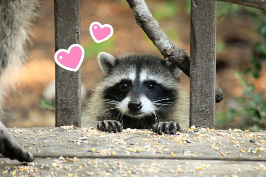   Photo : fr0ggy5 – Unsplash