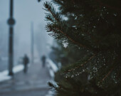 La fête de Noël est principalement célébrée dans les traditions françaises, britanniques et américaines, selon l’Encyclopédie canadienne. Les personnes nouvelles arrivantes au Canada vivent cette période bien différemment.  &mdash; Photo : Slava L – Unsplash