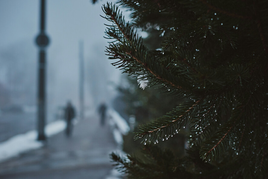 La fête de Noël est principalement célébrée dans les traditions françaises, britanniques et américaines, selon l’Encyclopédie canadienne. Les personnes nouvelles arrivantes au Canada vivent cette période bien différemment.  &mdash; Photo : Slava L – Unsplash