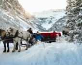 La fête de Noël du Cercle des Canadiens français de Prince George comprenait une promenade en traîneau tiré par des chevaux.  &mdash; Ezra Jeffrey-Comeau, Unsplash