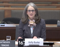 La Chambre doit confirmer dans la semaine du 23 février si Kelly Burke sera bel et bien la prochaine commissaire aux langues officielles.  &mdash; Photo : Capture d’écran