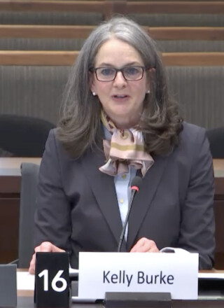 La Chambre doit confirmer dans la semaine du 23 février si Kelly Burke sera bel et bien la prochaine commissaire aux langues officielles.  &mdash; Photo : Capture d’écran