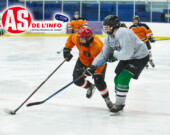   Photo : Stephen Anderson Lindsay