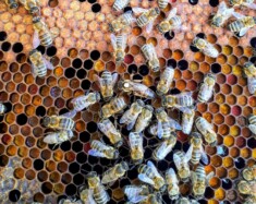   Photo : Boba Jaglicic – Unsplash