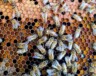   Photo : Boba Jaglicic – Unsplash