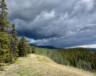 Une étude parue dans Nature révèle que l’assèchement des sols est accentué par des épisodes de pluie intenses, mais courts. &mdash; Photo Nelly Guidici