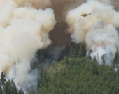 Un hydravion lance de l'eau sur des feux en Colombie-Britannique, le 15 juillet. &mdash;  Photo : BC Wildfire