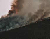   Photo: Tim Mossholder – Pexels