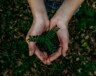 Deux Canadiens sur trois souhaitent maintenir ou renforcer les exigences environnementales du pays, selon un nouveau sondage.  &mdash; Photo : Noah Buscher – Unsplash
