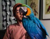 « Mes perroquets sont des membres de ma famille ! », explique Maxime Riverin, fondateur de Perroquets Épanouis.
 — Photo Maxime Riverin