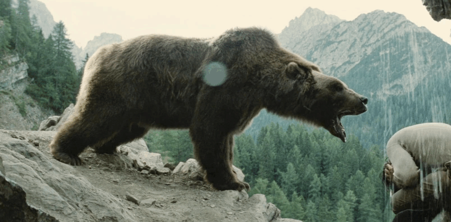 L'ours, actuellement à (re)découvrir sur la plateforme Amazon Prime.
 — DR