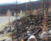 Face à des saisons des feux de plus en plus intenses et précoces, de nombreux habitants, vivent dans la crainte de vivre de nouvelles évacuations.  — Courtoisie CC0 Domaine public, Pxhere