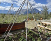 En 2024, 37,4 % des familles des territoires étaient touchés par l’insécurité alimentaire. — Photo Nelly Guidici