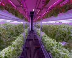 La ferme hydroponique, appelée Ag1054, est un projet d’agriculture nordique au bord du lac Kluane au Yukon.  — Photo Nelly Guidici
