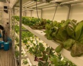 Une ferme hydroponique a été installée en 2021 à côté de la serre communautaire d’Inuvik.  — Courtoisie Peter Clarkson