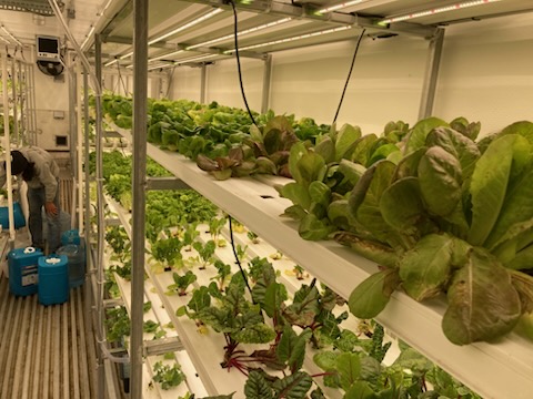 Une ferme hydroponique a été installée en 2021 à côté de la serre communautaire d’Inuvik.  — Courtoisie Peter Clarkson