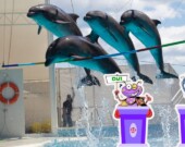   Photomontage Les As de l'info