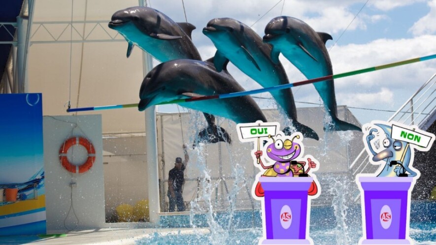   Photomontage Les As de l'info