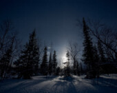 Un beau paysage hivernal dans le climat très froid – et très sombre ! – de l’arctique.  — Crédit kolesnikovsergii, Envato