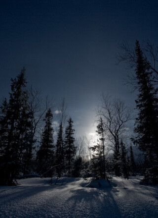 Un beau paysage hivernal dans le climat très froid – et très sombre ! – de l’arctique.  — Crédit kolesnikovsergii, Envato