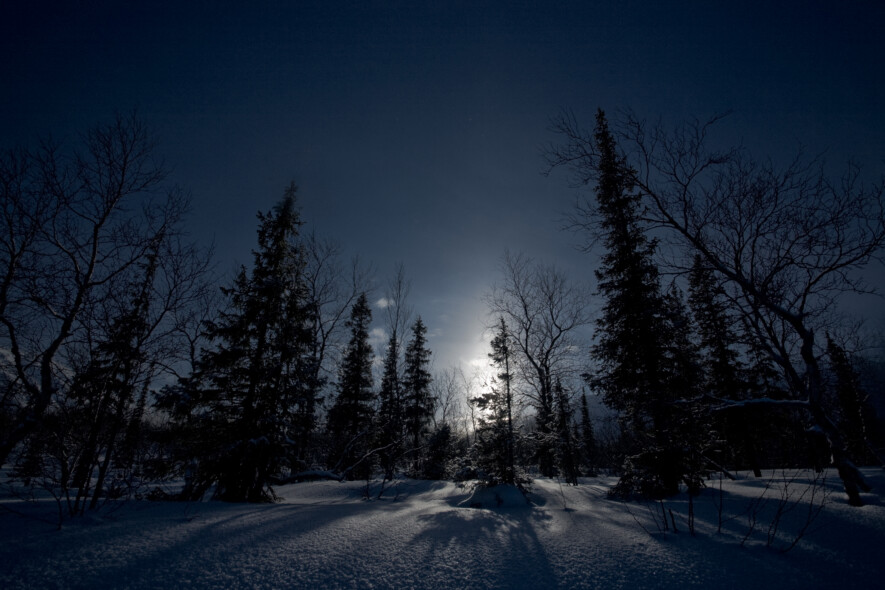 Un beau paysage hivernal dans le climat très froid – et très sombre ! – de l’arctique.  — Crédit kolesnikovsergii, Envato