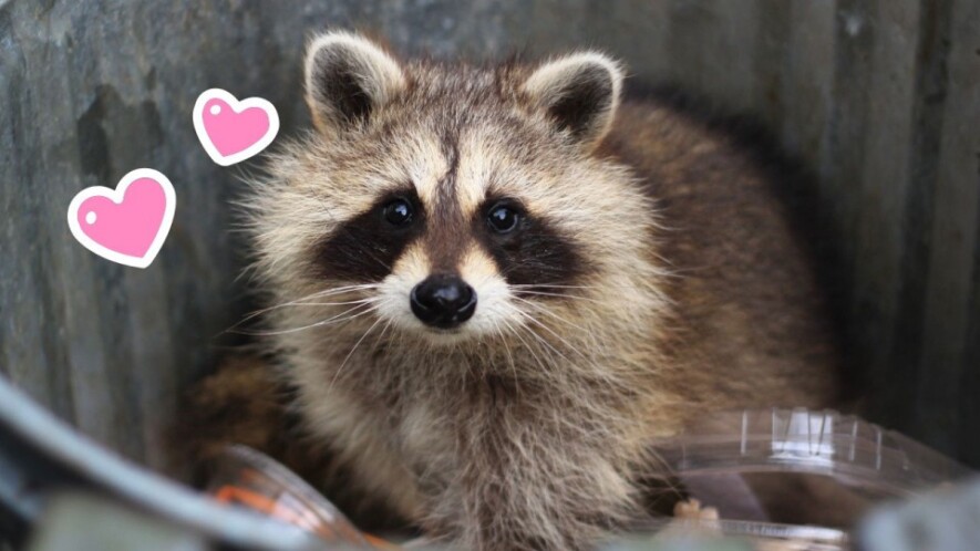   PHOTOMONTAGE LES AS DE L’INFO