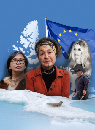   Montage photo Anthony Morell