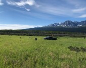 Une étude publiée en mars 2026, sur les propriétés de 14 sites dans la région de Haines Junction au Yukon, révèle que les sites où se trouve du pergélisol réagissent différemment lors d’un tremblement de terre.  &mdash; Courtoisie Ressources Naturelles Canada