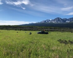 Une étude publiée en mars 2026, sur les propriétés de 14 sites dans la région de Haines Junction au Yukon, révèle que les sites où se trouve du pergélisol réagissent différemment lors d’un tremblement de terre.  &mdash; Courtoisie Ressources Naturelles Canada