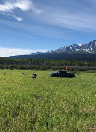 Une étude publiée en mars 2026, sur les propriétés de 14 sites dans la région de Haines Junction au Yukon, révèle que les sites où se trouve du pergélisol réagissent différemment lors d’un tremblement de terre.  &mdash; Courtoisie Ressources Naturelles Canada